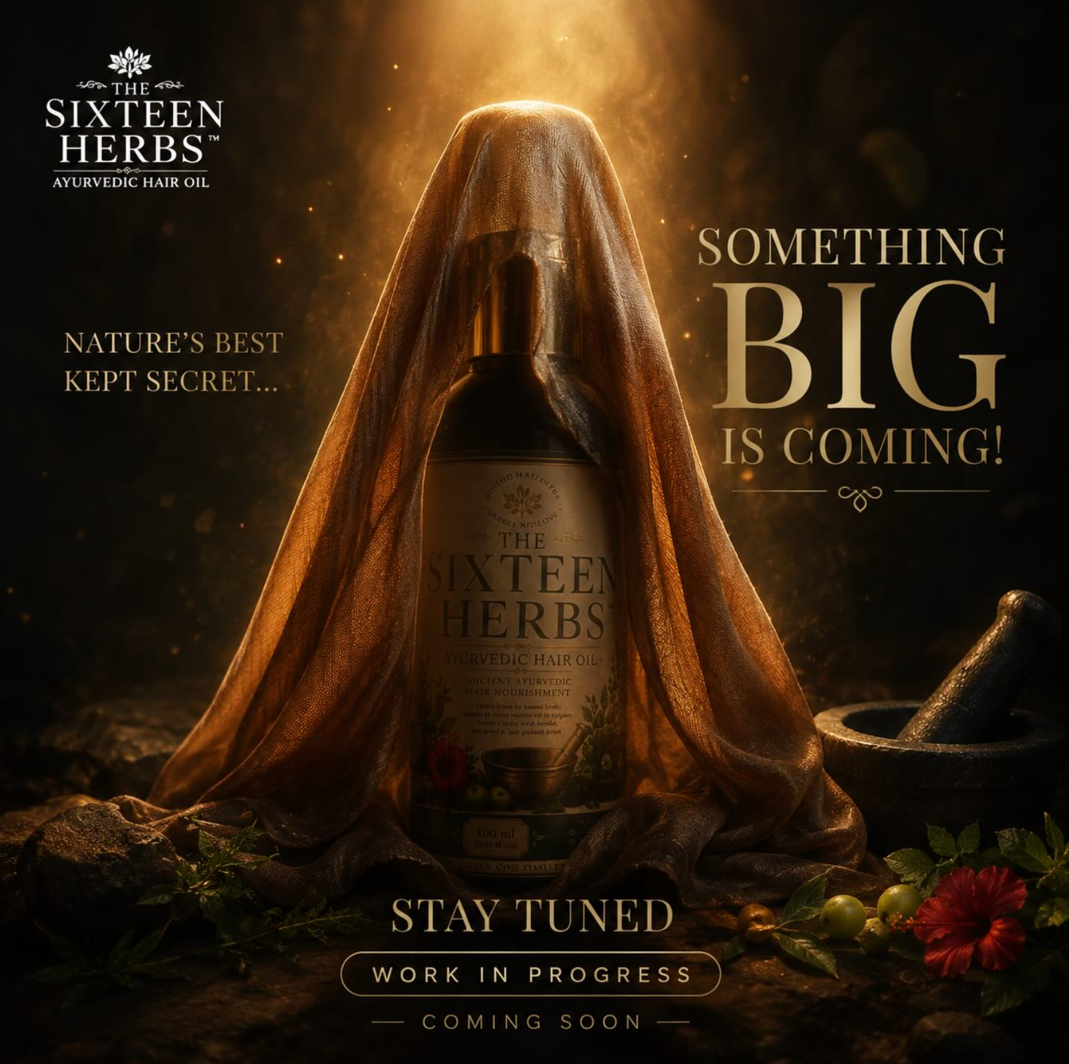 The Sixteen Herbs coming soon campaign visual